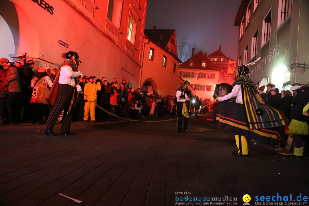 Narrentag des Viererbundes 2020: Nachtumzug in Ueberlingen, 25.01.2020