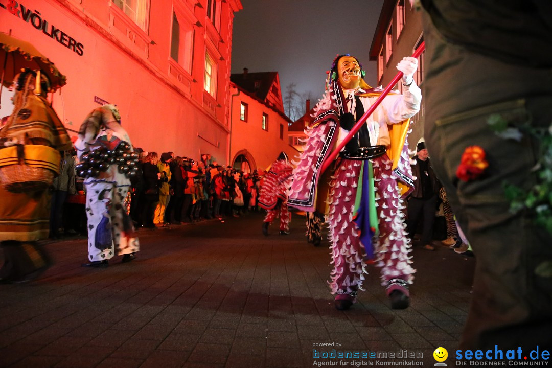 Narrentag des Viererbundes 2020: Nachtumzug in Ueberlingen, 25.01.2020