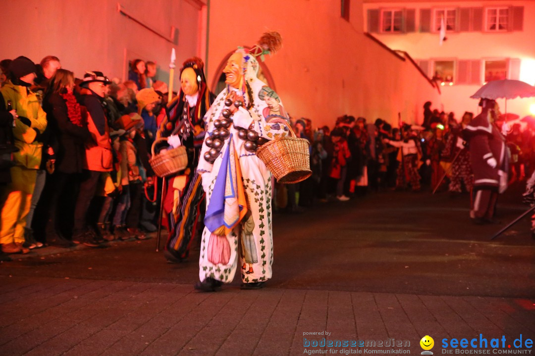 Narrentag des Viererbundes 2020: Nachtumzug in Ueberlingen, 25.01.2020