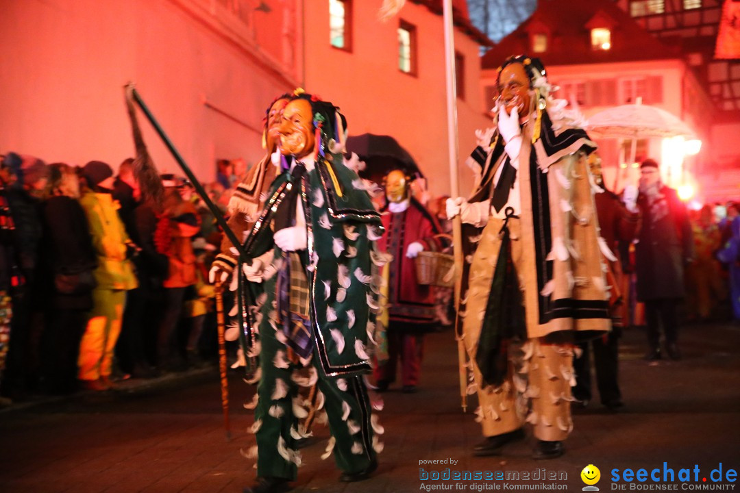 Narrentag des Viererbundes 2020: Nachtumzug in Ueberlingen, 25.01.2020