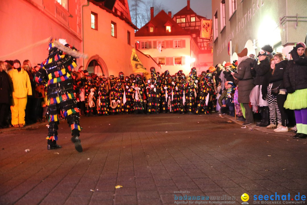 Narrentag des Viererbundes 2020: Nachtumzug in Ueberlingen, 25.01.2020