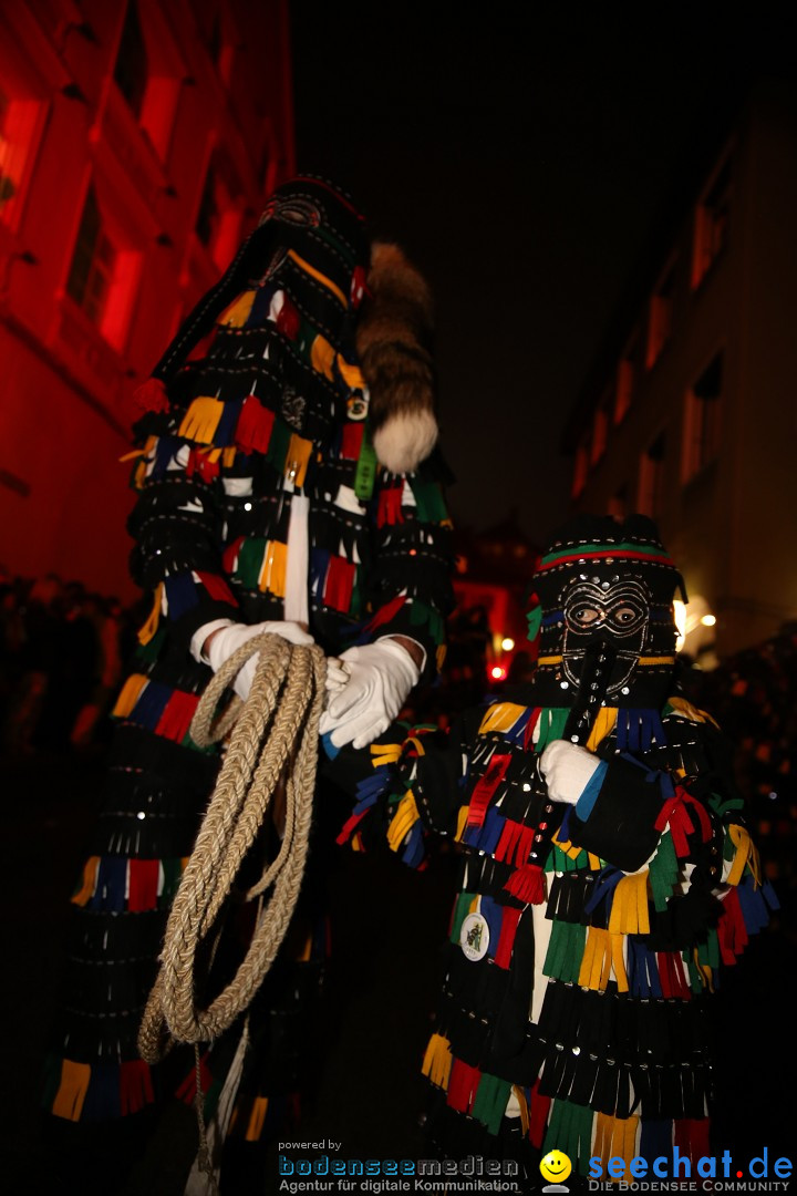 Narrentag des Viererbundes 2020: Nachtumzug in Ueberlingen, 25.01.2020