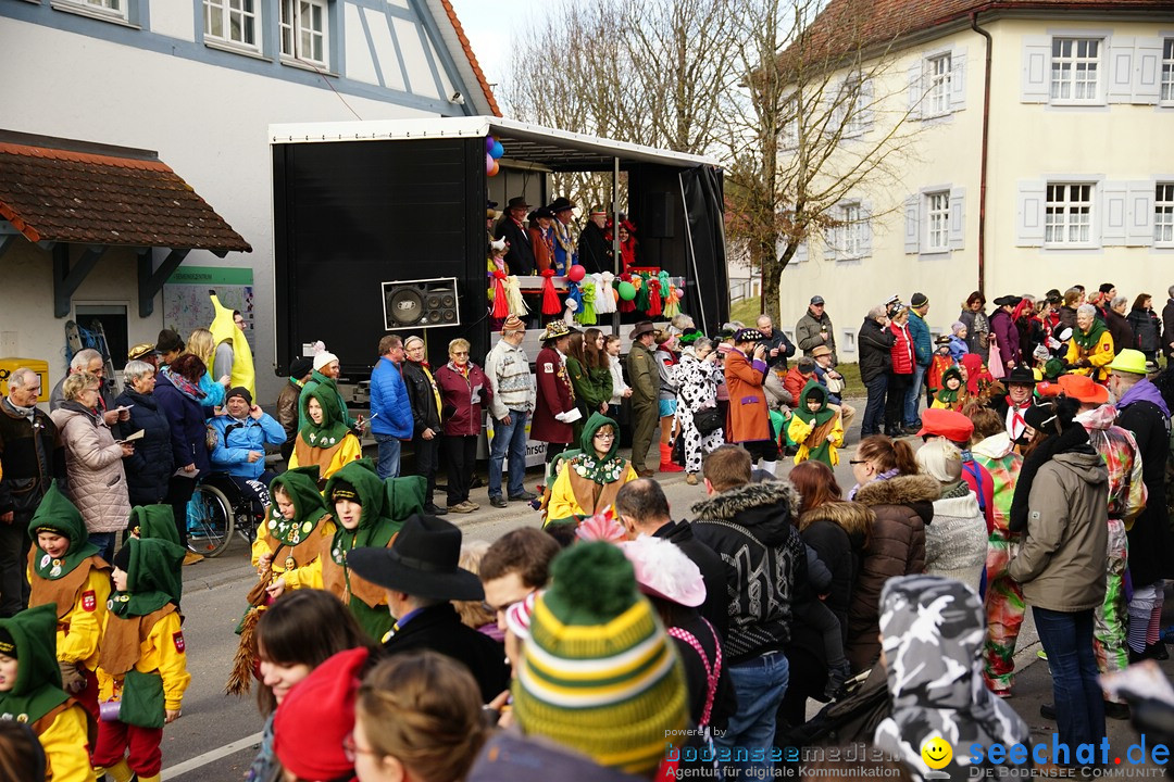 Jubilaeumsumzug - Kuh-Muh: Liggersdorf - Bodensee, 16.02.2020