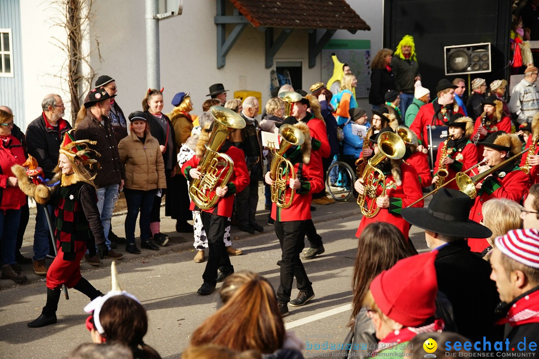 Jubilaeumsumzug - Kuh-Muh: Liggersdorf - Bodensee, 16.02.2020
