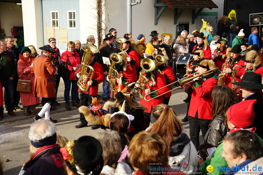 Jubilaeumsumzug - Kuh-Muh: Liggersdorf - Bodensee, 16.02.2020