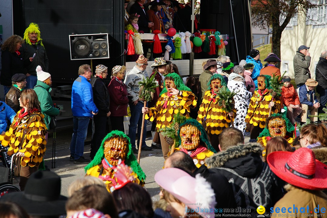 Jubilaeumsumzug - Kuh-Muh: Liggersdorf - Bodensee, 16.02.2020