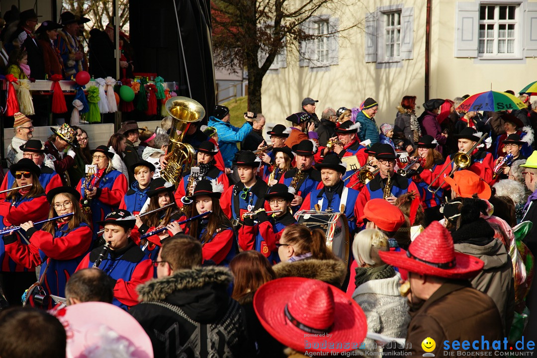 Jubilaeumsumzug - Kuh-Muh: Liggersdorf - Bodensee, 16.02.2020