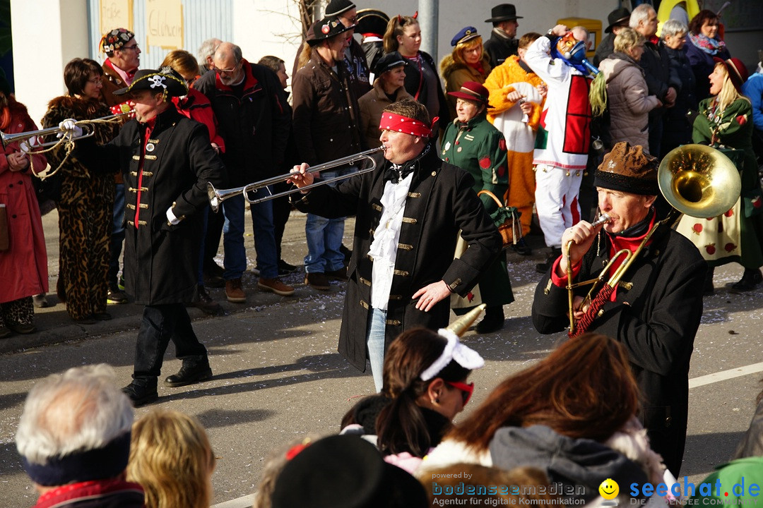 Jubilaeumsumzug - Kuh-Muh: Liggersdorf - Bodensee, 16.02.2020