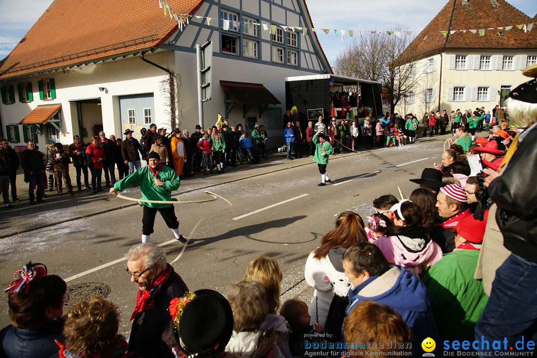 Jubilaeumsumzug - Kuh-Muh: Liggersdorf - Bodensee, 16.02.2020