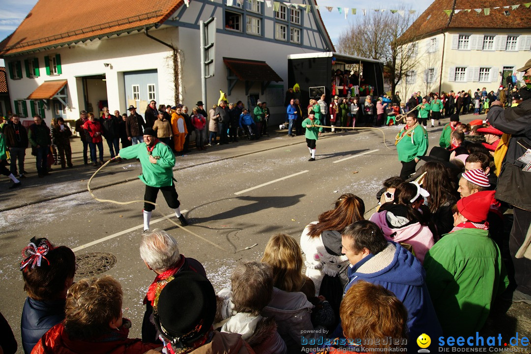 Jubilaeumsumzug - Kuh-Muh: Liggersdorf - Bodensee, 16.02.2020