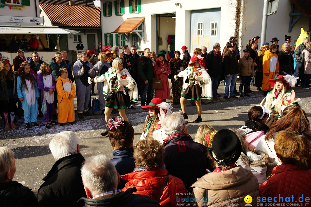 Jubilaeumsumzug - Kuh-Muh: Liggersdorf - Bodensee, 16.02.2020