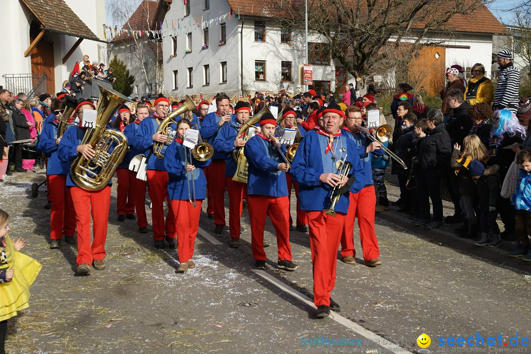 Jubilaeumsumzug - Kuh-Muh: Liggersdorf - Bodensee, 16.02.2020