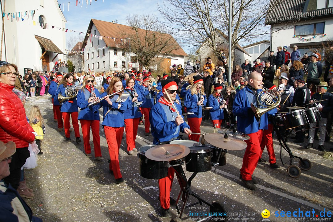 Jubilaeumsumzug - Kuh-Muh: Liggersdorf - Bodensee, 16.02.2020