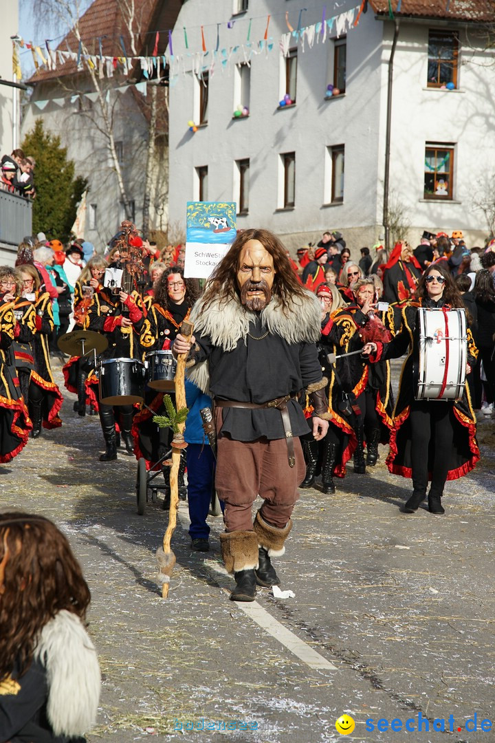 Jubilaeumsumzug - Kuh-Muh: Liggersdorf - Bodensee, 16.02.2020