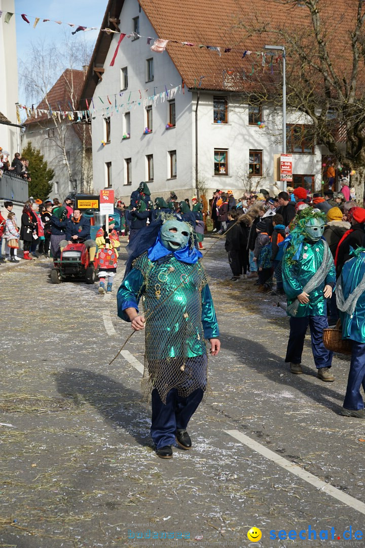 Jubilaeumsumzug - Kuh-Muh: Liggersdorf - Bodensee, 16.02.2020
