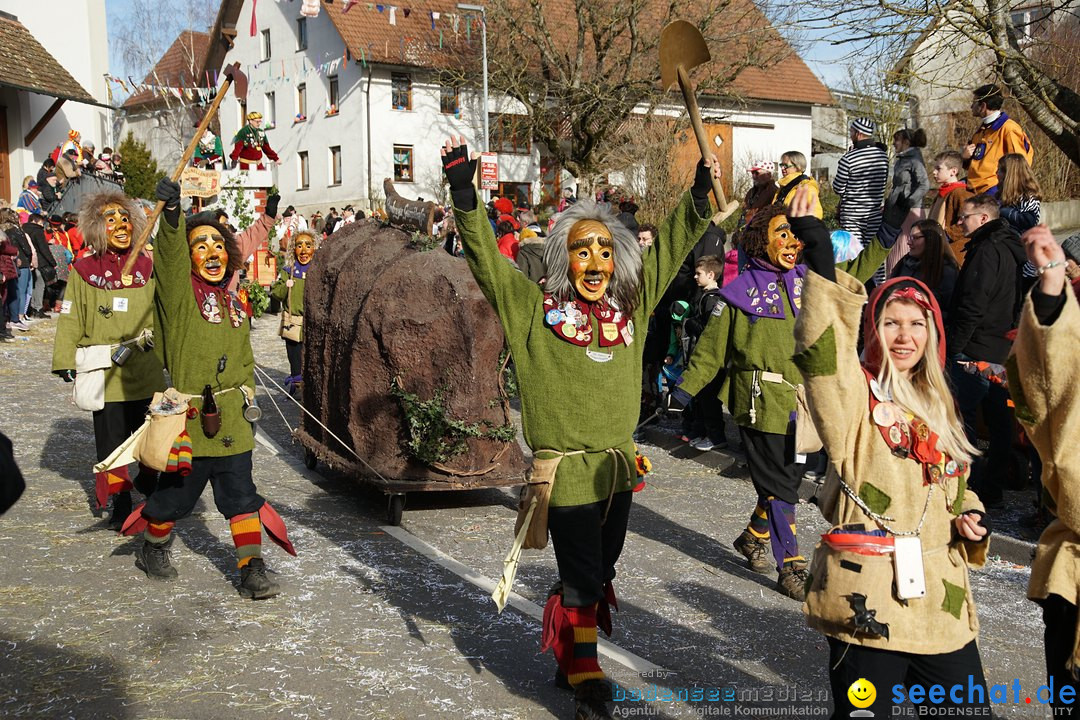 Jubilaeumsumzug - Kuh-Muh: Liggersdorf - Bodensee, 16.02.2020