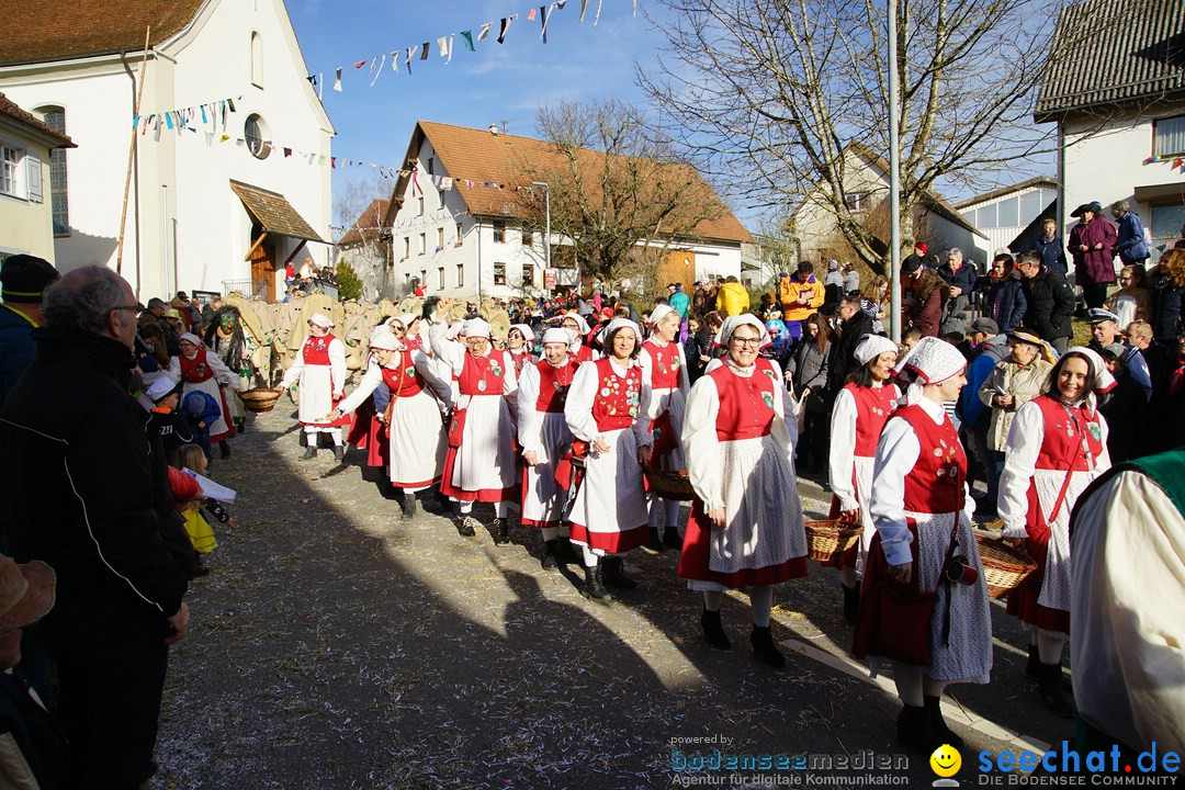 Jubilaeumsumzug - Kuh-Muh: Liggersdorf - Bodensee, 16.02.2020