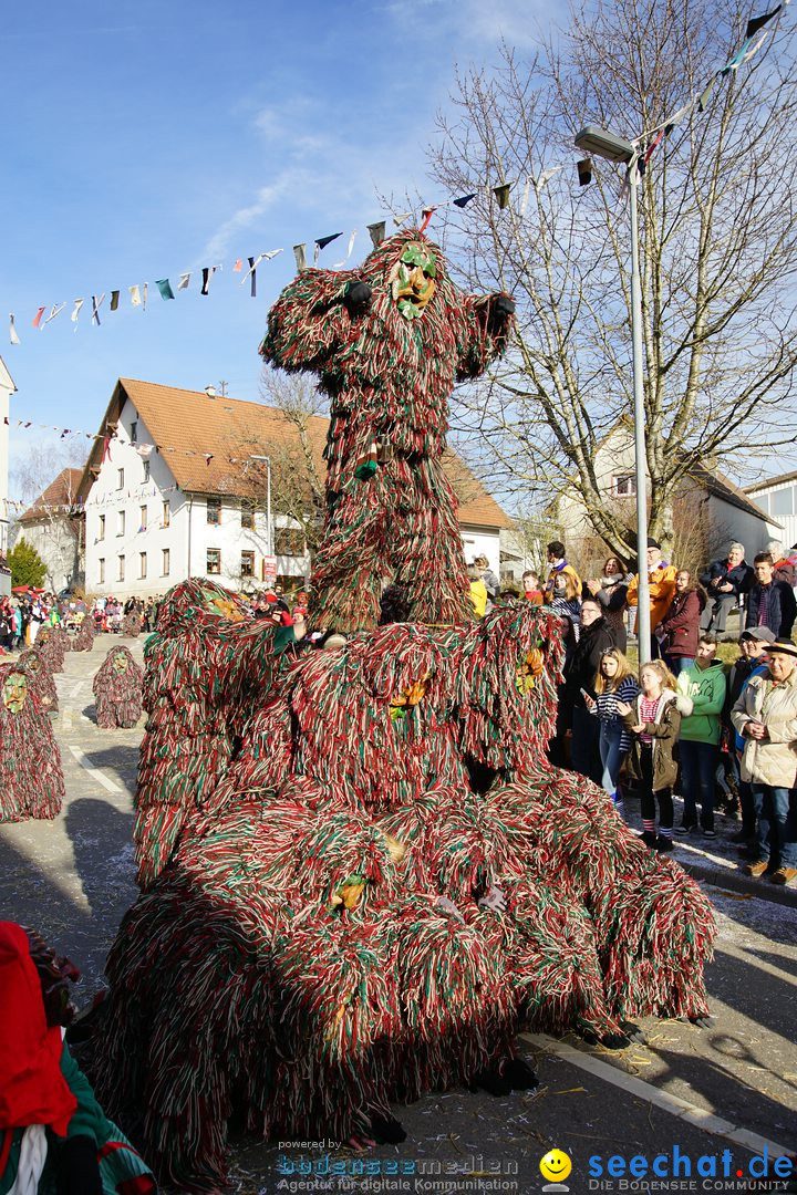 Jubilaeumsumzug - Kuh-Muh: Liggersdorf - Bodensee, 16.02.2020