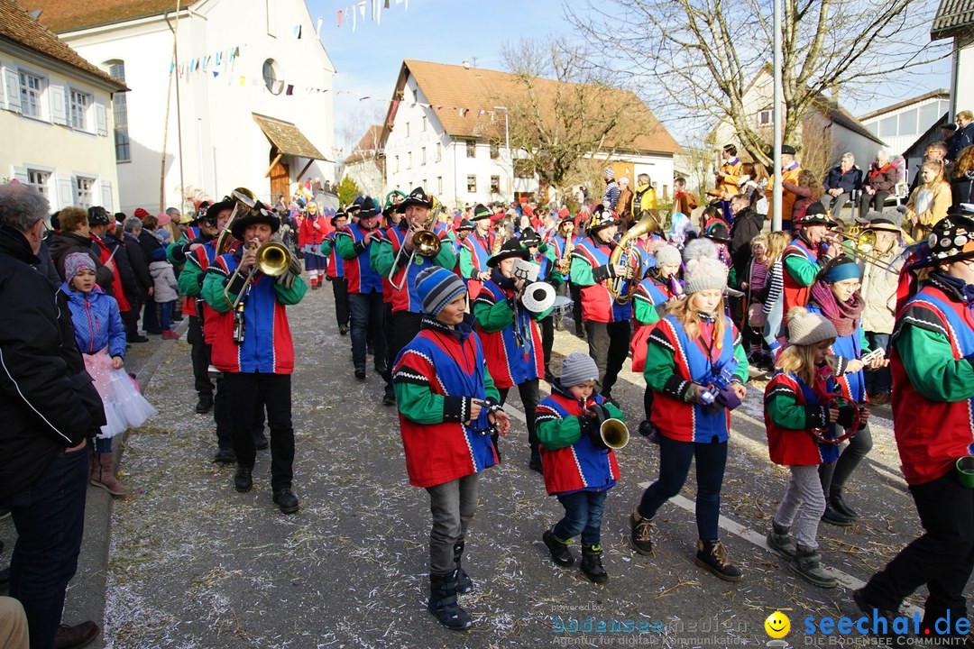 Jubilaeumsumzug - Kuh-Muh: Liggersdorf - Bodensee, 16.02.2020