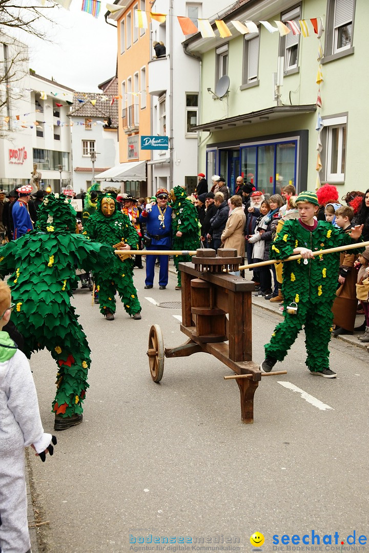 Fasnetsumzug - Fasching: Markdorf am Bodensee, 23.02.2020