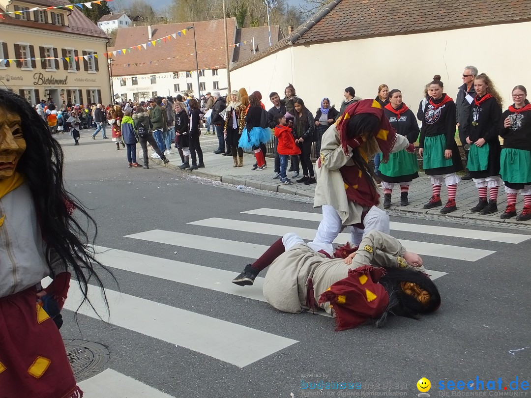 Fasnetsumzug, Narrensprung mit ueber 1200 Narren: Zwiefalten, 23.02.2020