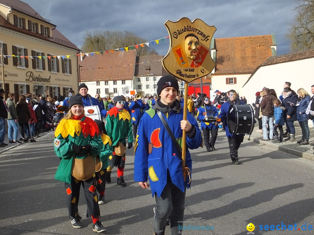 Fasnetsumzug, Narrensprung mit ueber 1200 Narren: Zwiefalten, 23.02.2020