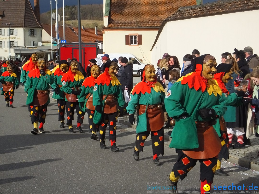 Fasnetsumzug, Narrensprung mit ueber 1200 Narren: Zwiefalten, 23.02.2020