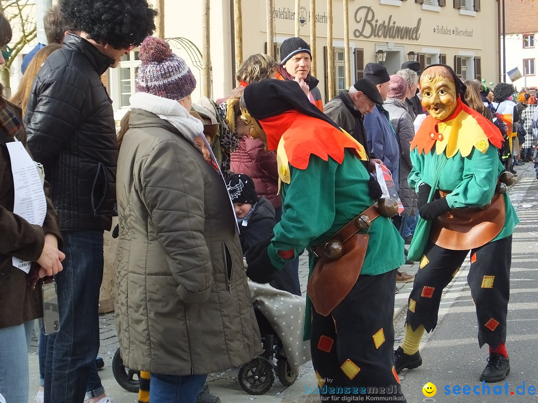 Fasnetsumzug, Narrensprung mit ueber 1200 Narren: Zwiefalten, 23.02.2020