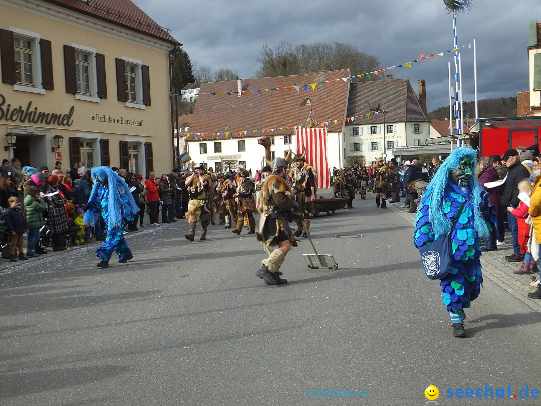 Fasnetsumzug, Narrensprung mit ueber 1200 Narren: Zwiefalten, 23.02.2020