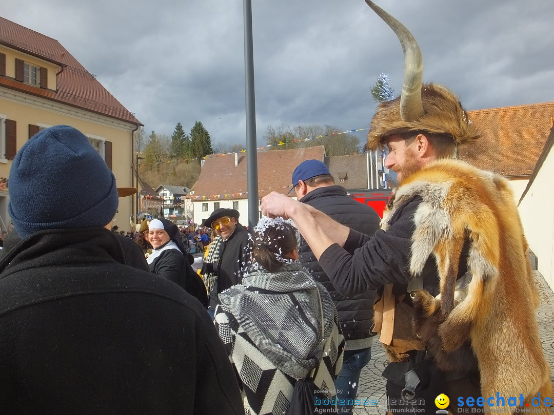 Fasnetsumzug, Narrensprung mit ueber 1200 Narren: Zwiefalten, 23.02.2020