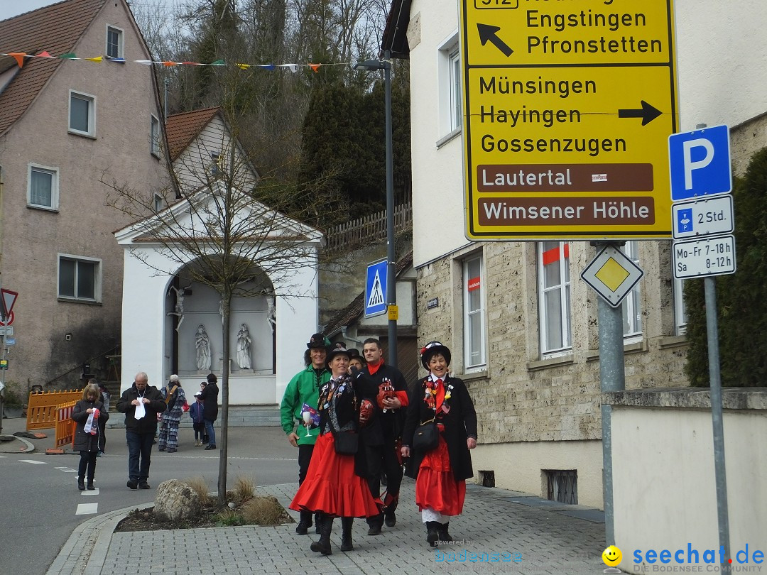 Fasnetsumzug, Narrensprung mit ueber 1200 Narren: Zwiefalten, 23.02.2020