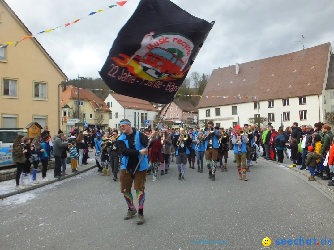 Fasnetsumzug, Narrensprung mit ueber 1200 Narren: Zwiefalten, 23.02.2020