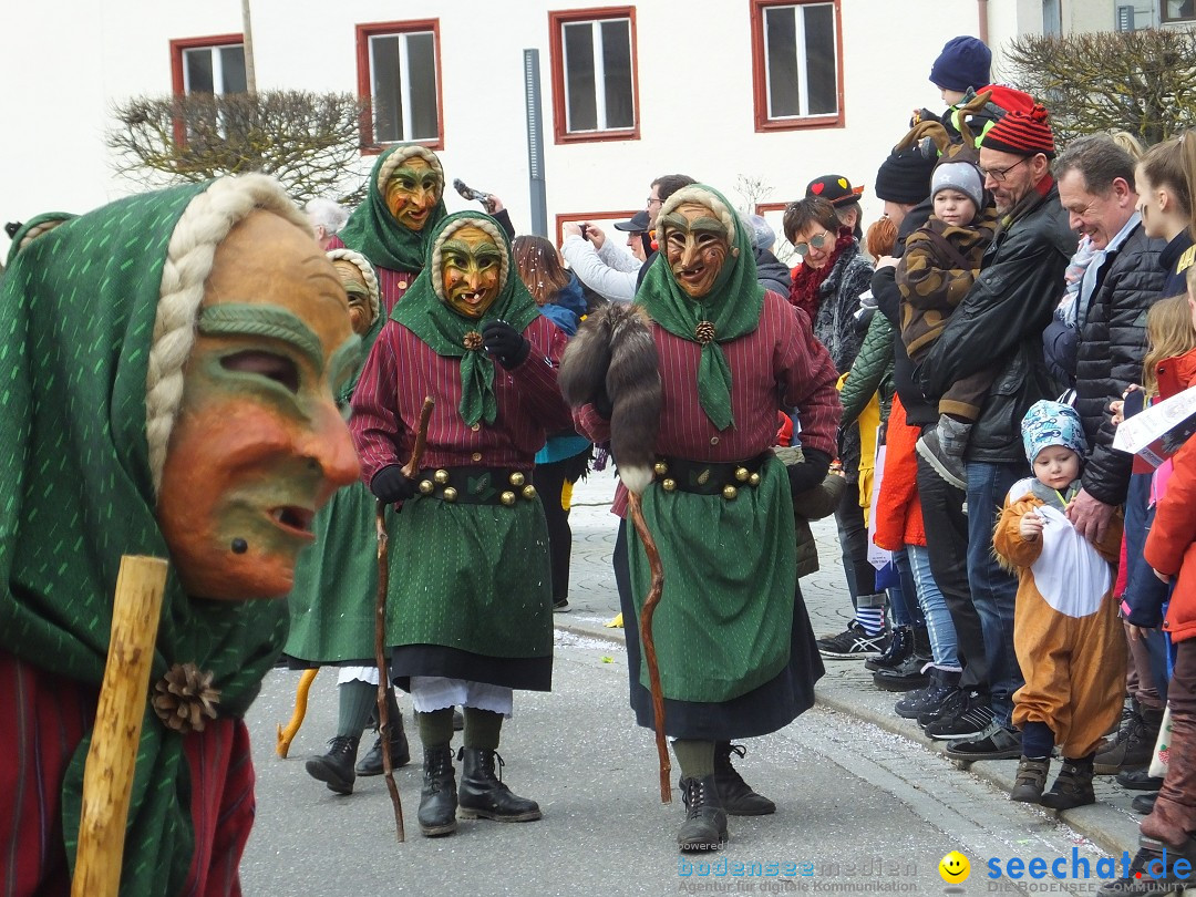 Fasnetsumzug, Narrensprung mit ueber 1200 Narren: Zwiefalten, 23.02.2020
