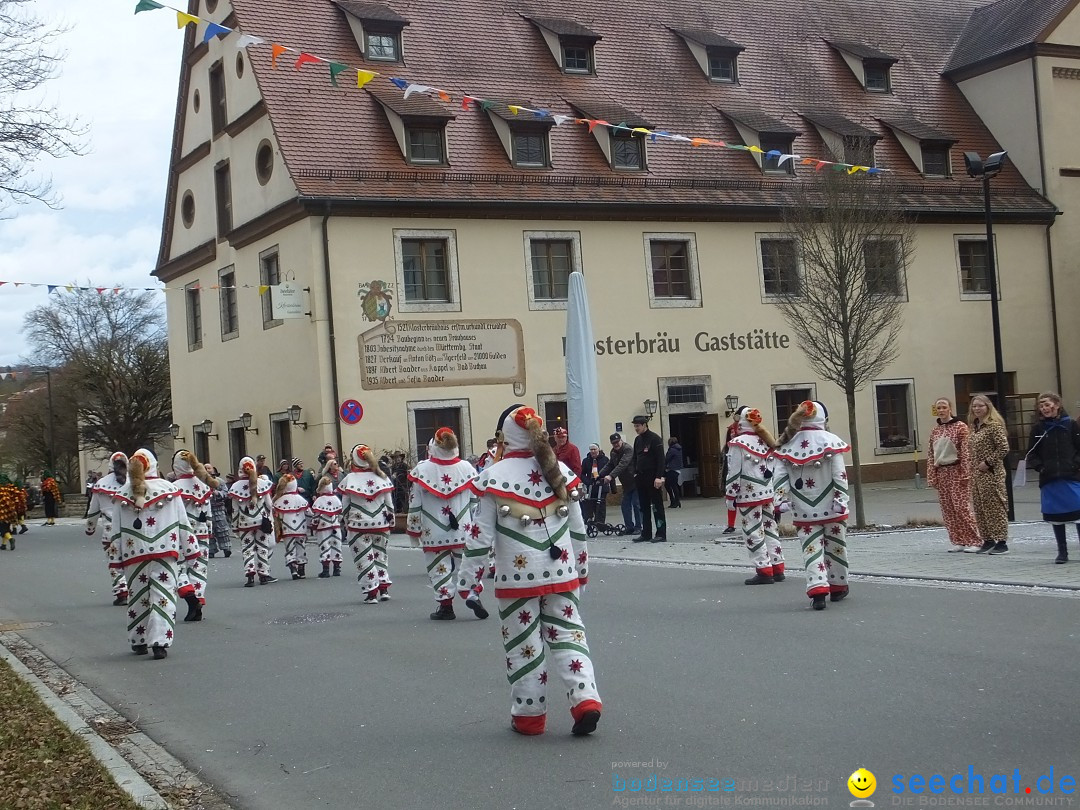 Fasnetsumzug, Narrensprung mit ueber 1200 Narren: Zwiefalten, 23.02.2020