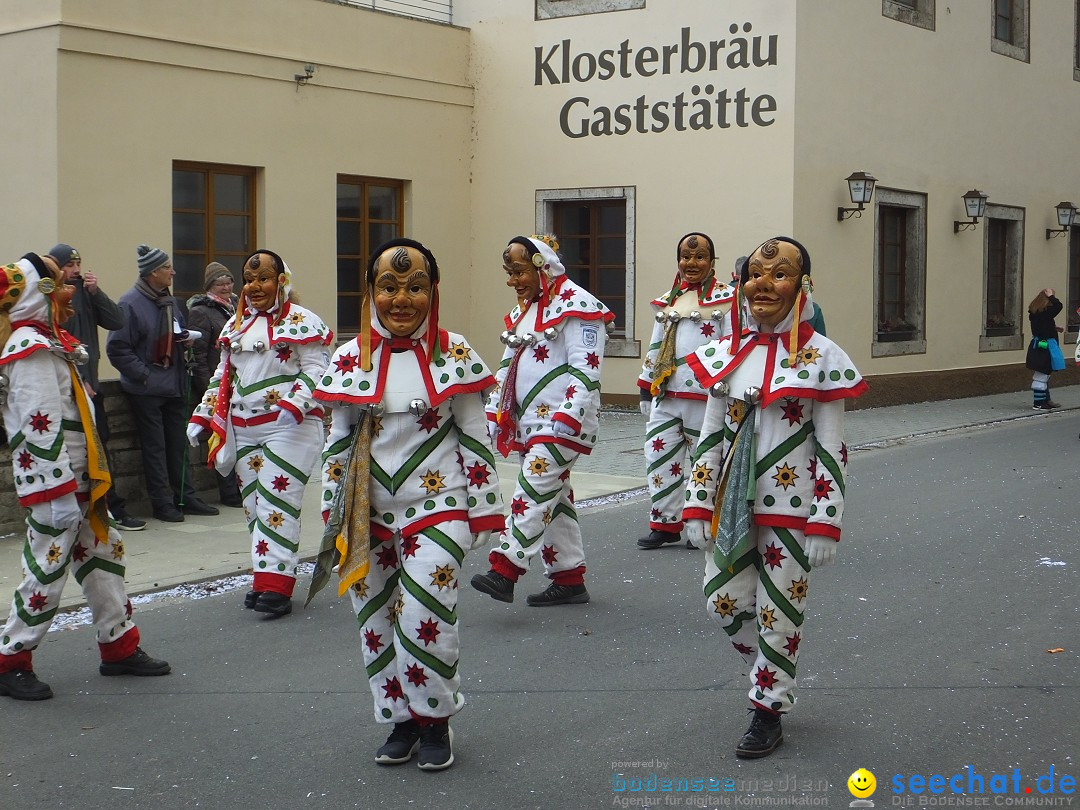 Fasnetsumzug, Narrensprung mit ueber 1200 Narren: Zwiefalten, 23.02.2020