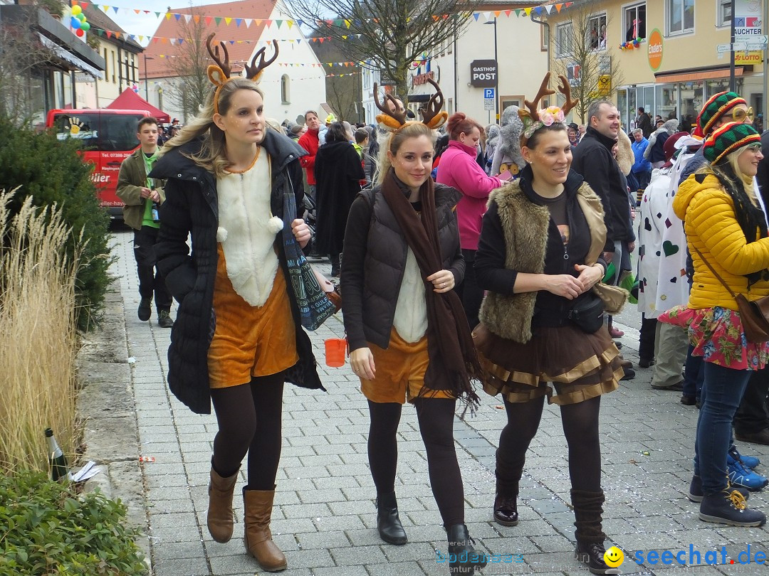 Fasnetsumzug, Narrensprung mit ueber 1200 Narren: Zwiefalten, 23.02.2020