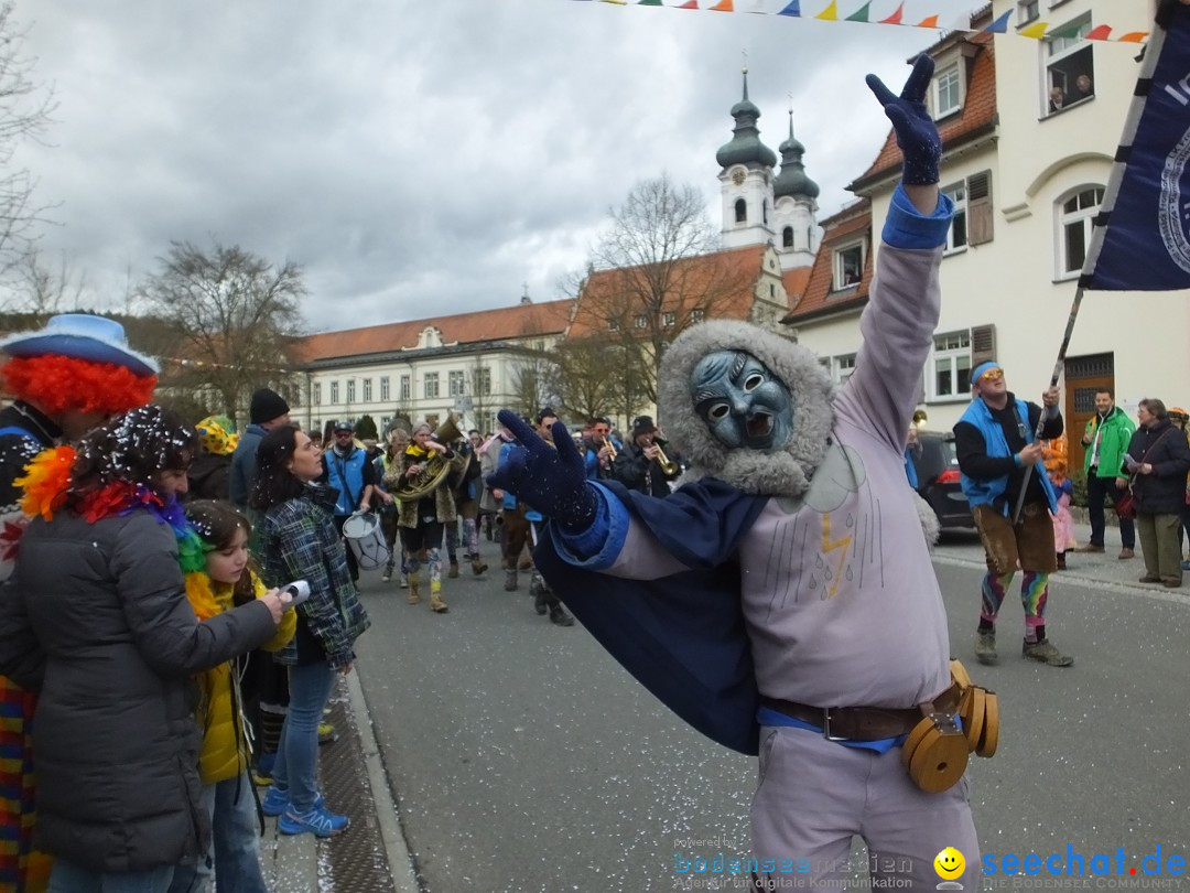 Fasnetsumzug, Narrensprung mit ueber 1200 Narren: Zwiefalten, 23.02.2020