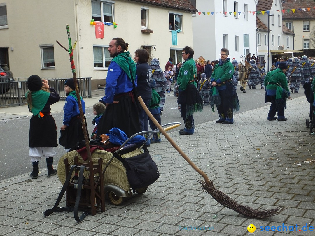 Fasnetsumzug, Narrensprung mit ueber 1200 Narren: Zwiefalten, 23.02.2020