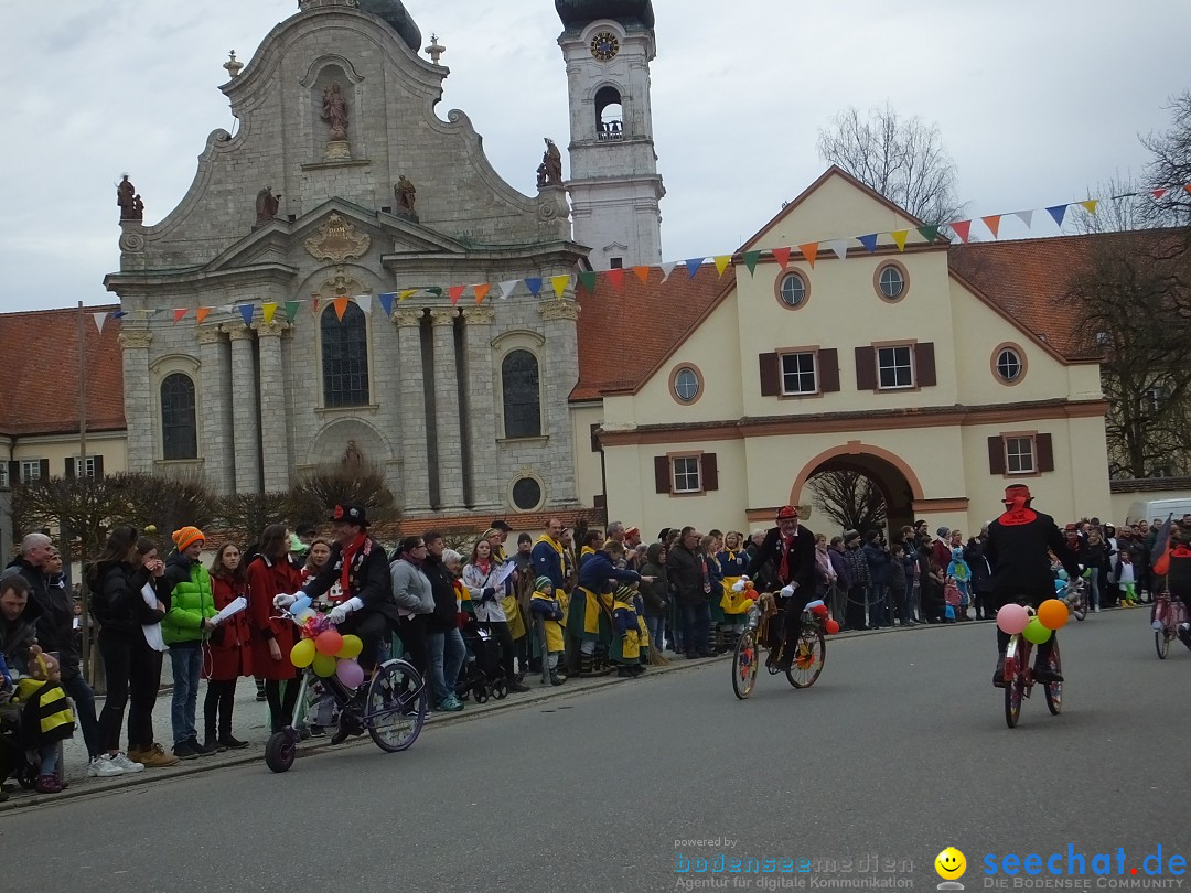 Fasnetsumzug, Narrensprung mit ueber 1200 Narren: Zwiefalten, 23.02.2020