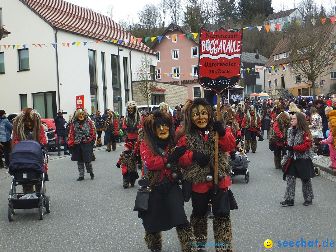 Fasnetsumzug, Narrensprung mit ueber 1200 Narren: Zwiefalten, 23.02.2020