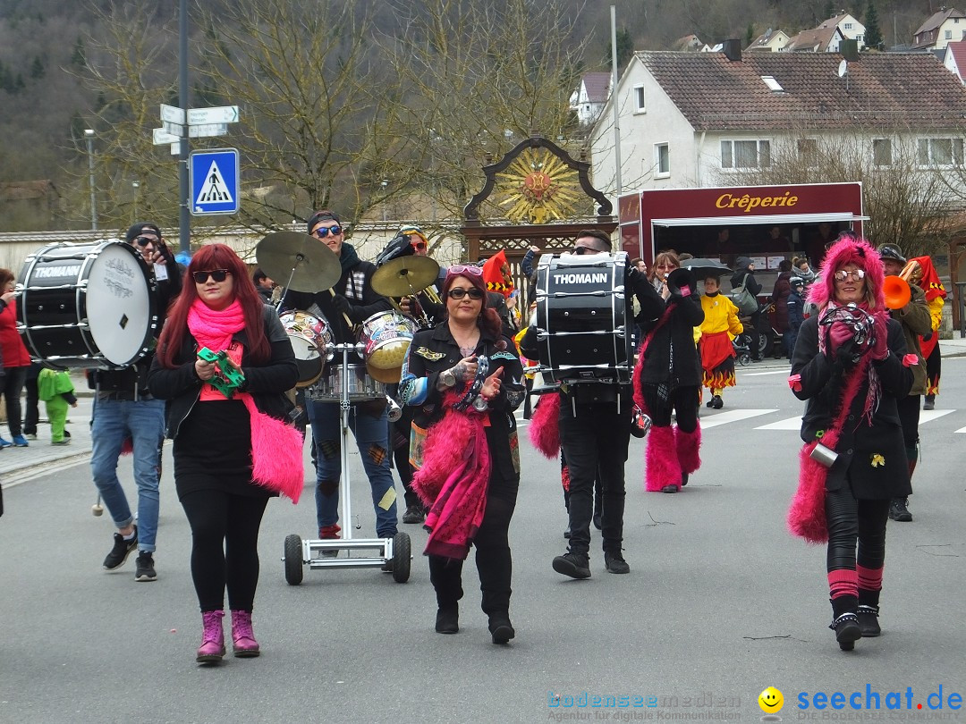 Fasnetsumzug, Narrensprung mit ueber 1200 Narren: Zwiefalten, 23.02.2020