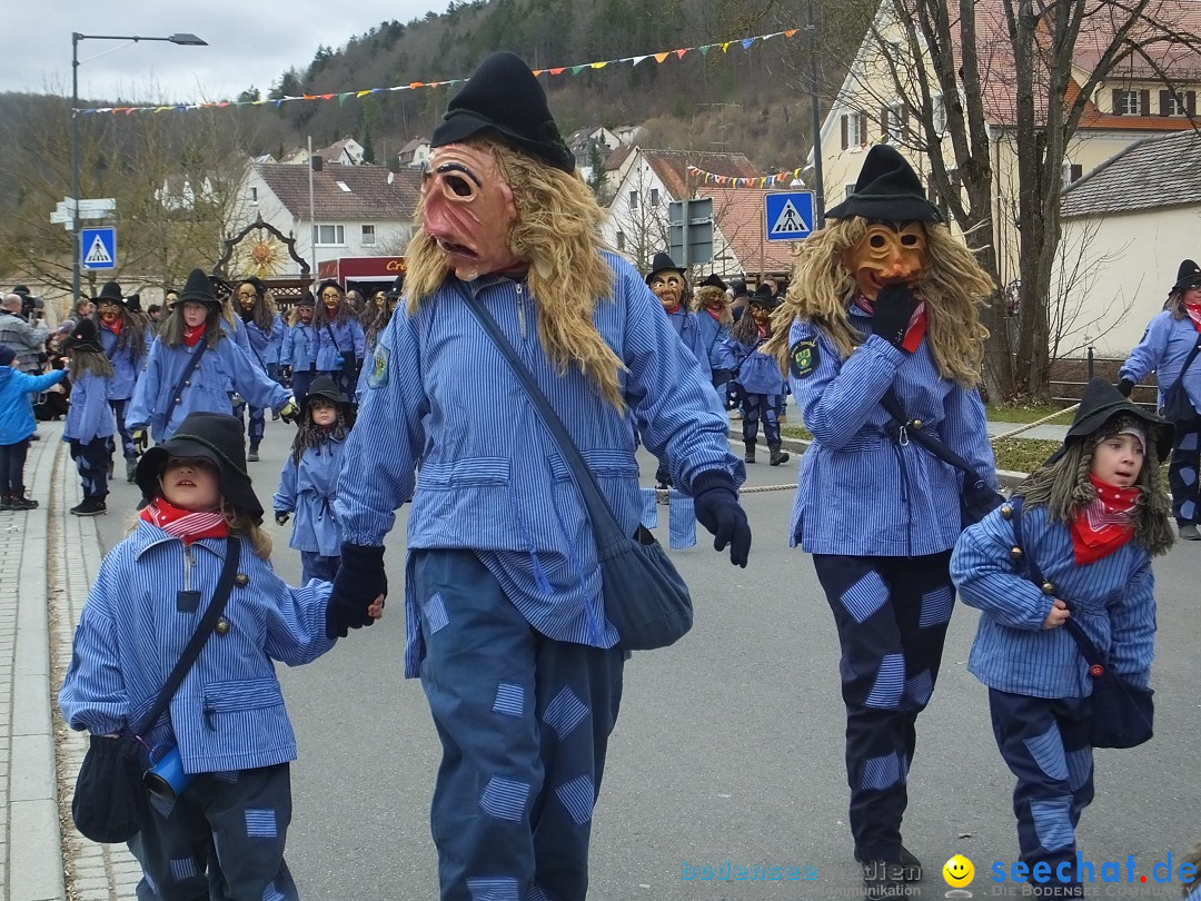Fasnetsumzug, Narrensprung mit ueber 1200 Narren: Zwiefalten, 23.02.2020
