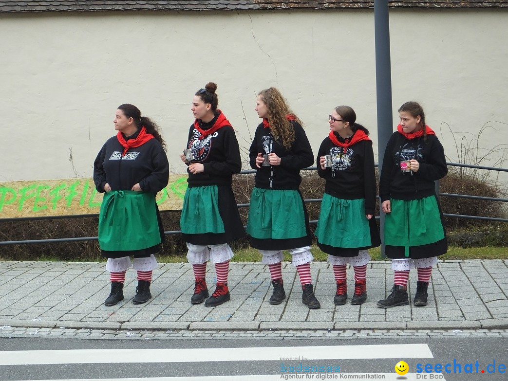 Fasnetsumzug, Narrensprung mit ueber 1200 Narren: Zwiefalten, 23.02.2020