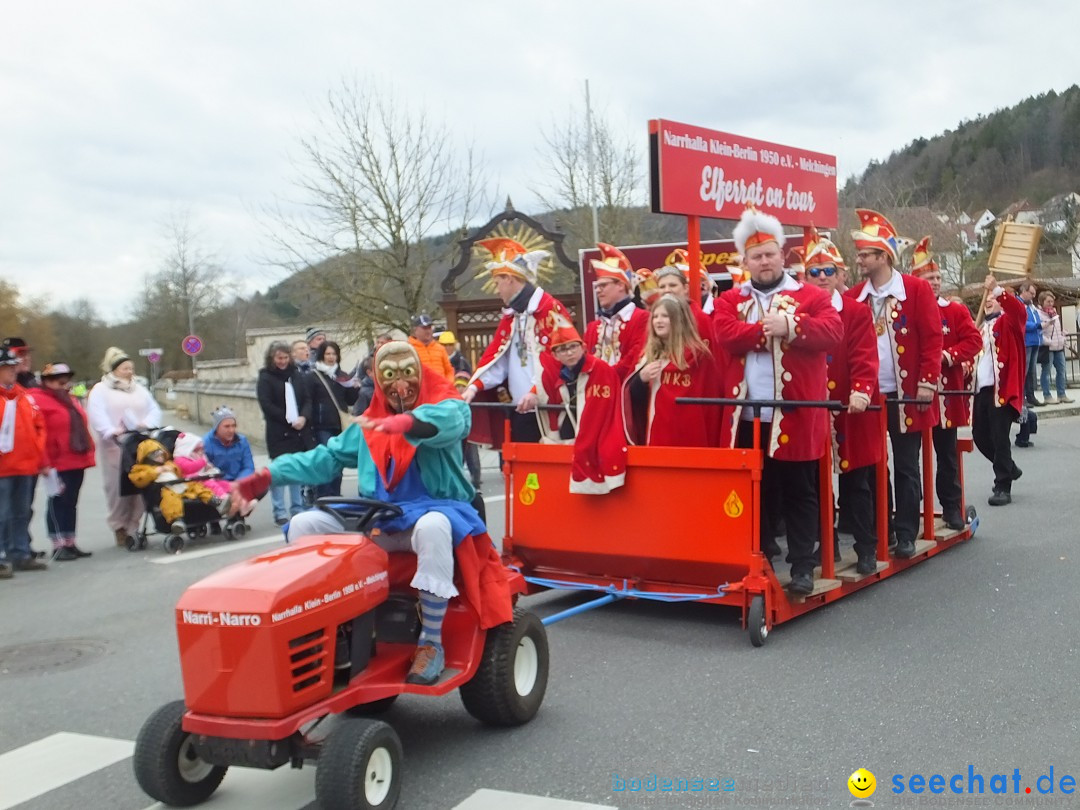 Fasnetsumzug, Narrensprung mit ueber 1200 Narren: Zwiefalten, 23.02.2020