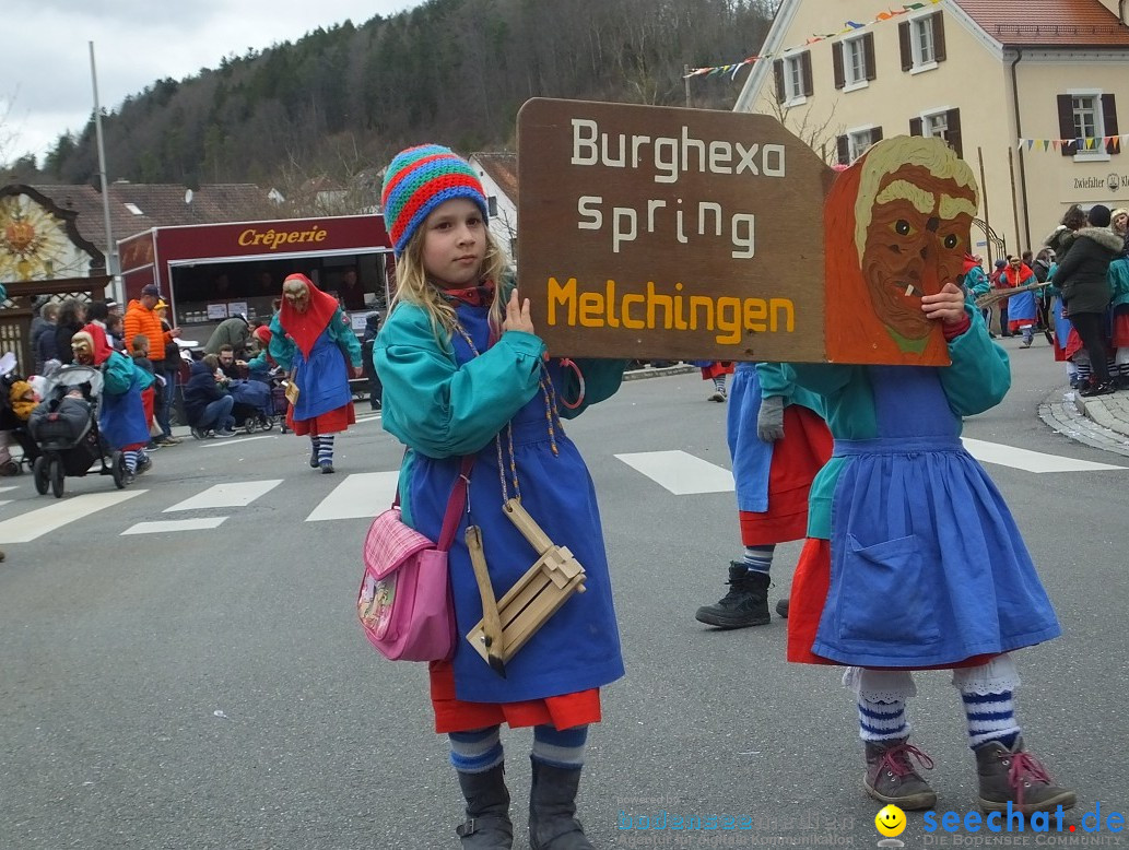 Fasnetsumzug, Narrensprung mit ueber 1200 Narren: Zwiefalten, 23.02.2020