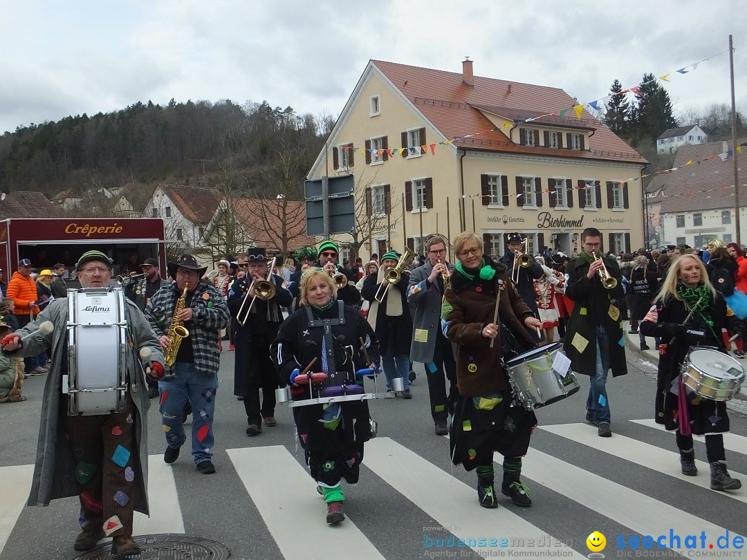 Fasnetsumzug, Narrensprung mit ueber 1200 Narren: Zwiefalten, 23.02.2020