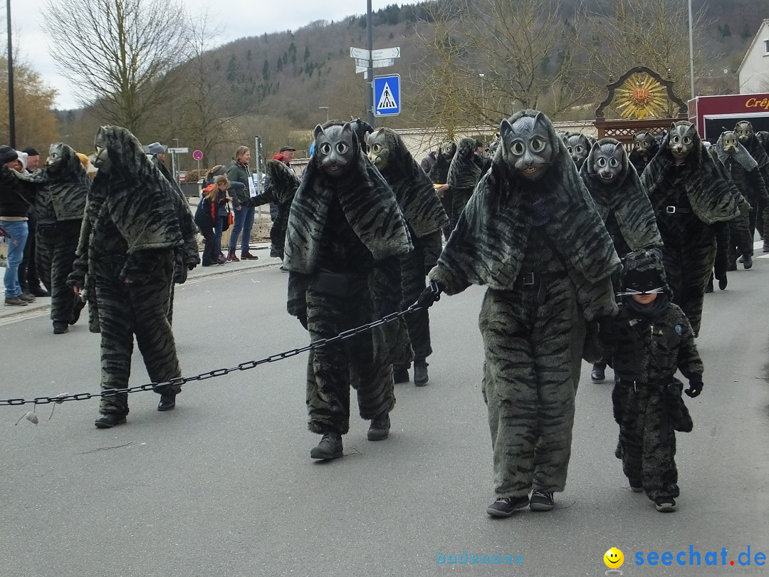 Fasnetsumzug, Narrensprung mit ueber 1200 Narren: Zwiefalten, 23.02.2020