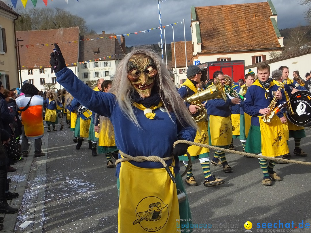 Fasnetsumzug, Narrensprung mit ueber 1200 Narren: Zwiefalten, 23.02.2020