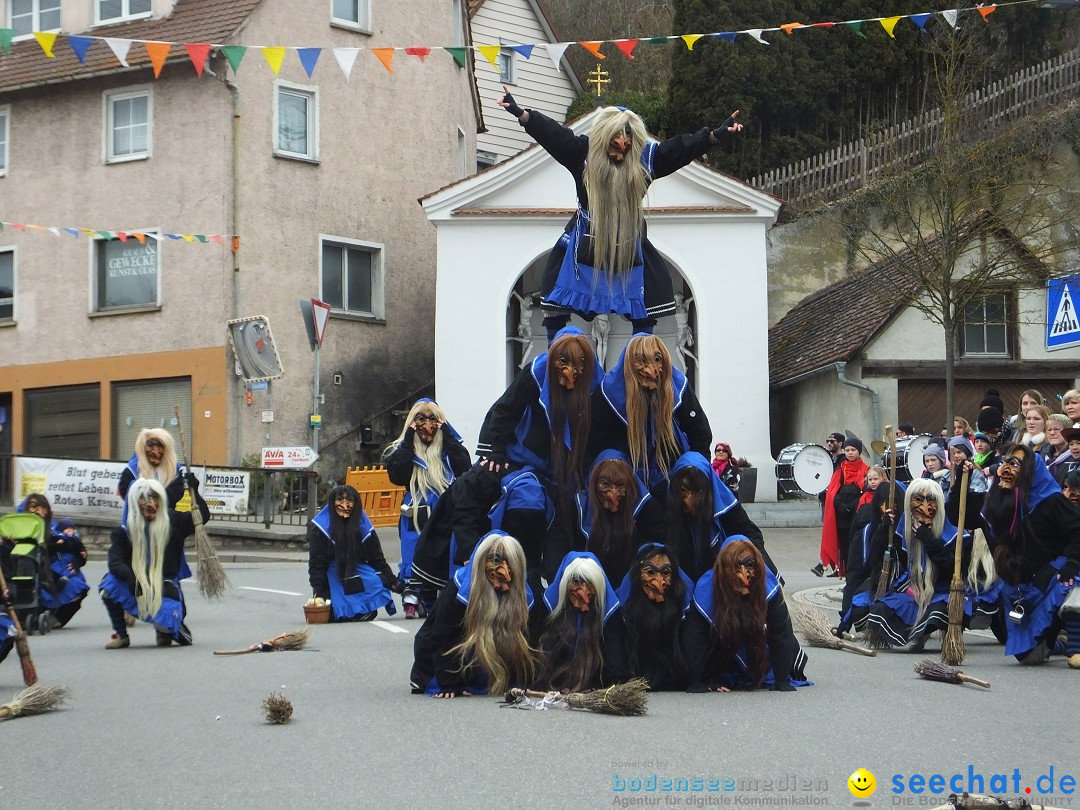 Fasnetsumzug, Narrensprung mit ueber 1200 Narren: Zwiefalten, 23.02.2020