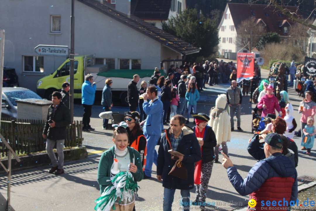 Fasnachtsumzug - Glattfelden am Zuerisee - Schweiz, 01.03.2020